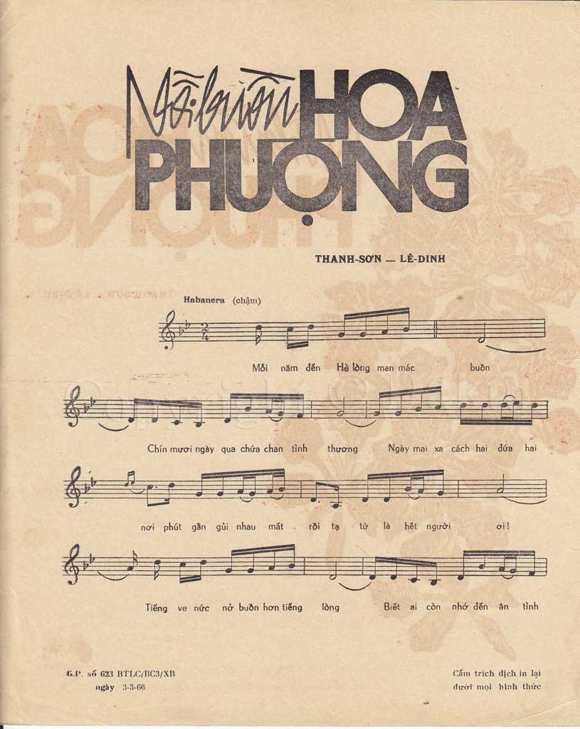 loi-bai-hat-noi-buon-hoa-phuong-cua-nhac-si-thanh-son